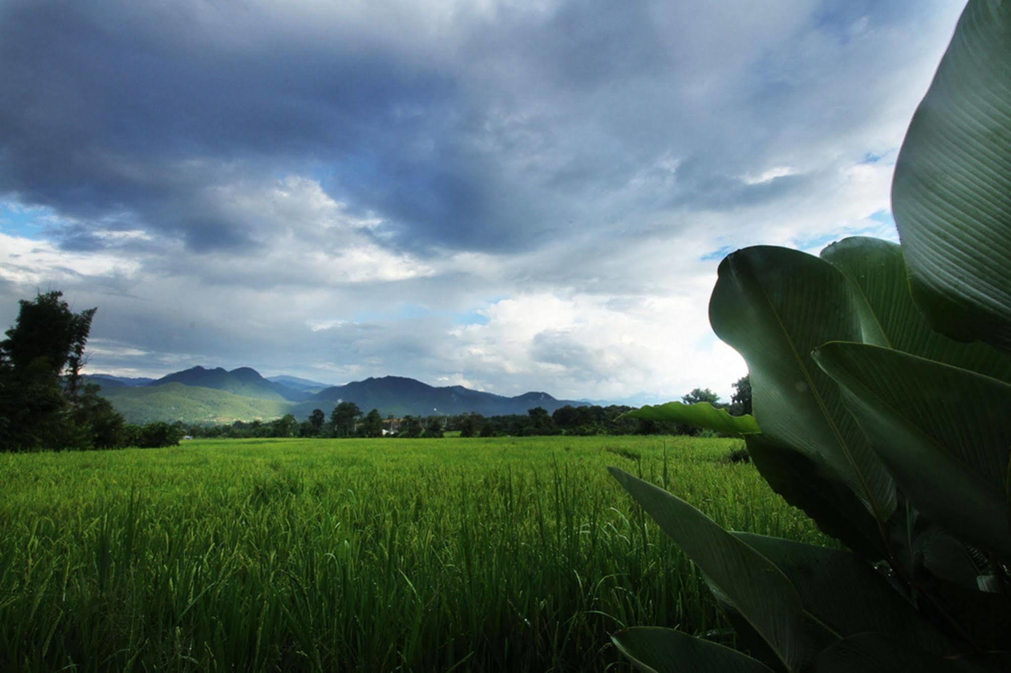 บ้านดาหลา รีสอร์ท ปาย ภายนอก รูปภาพ